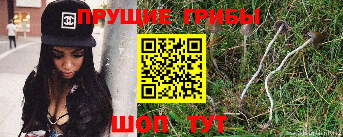 цена наркотик  Вход с VPN  Владимир  Псилоцибиновые грибы мухоморы 